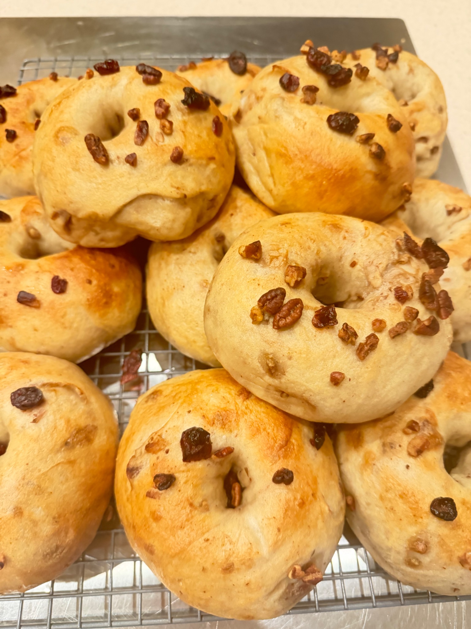 Fresh cranberry pecan bagels