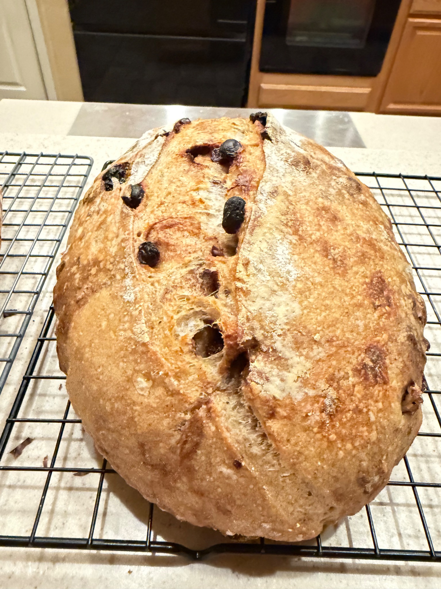 Fresh inclusion sourdough loaf