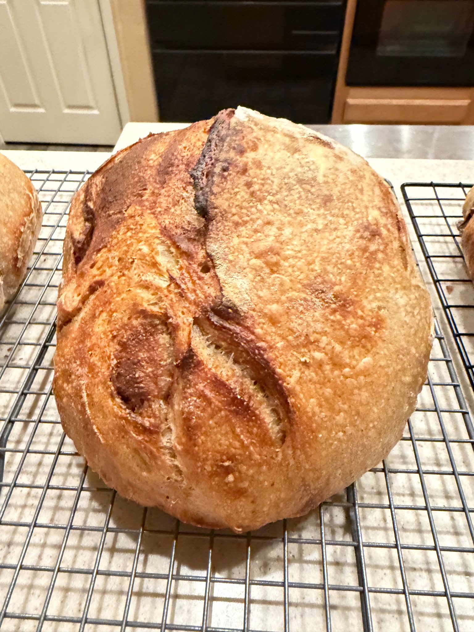 Fresh sourdough